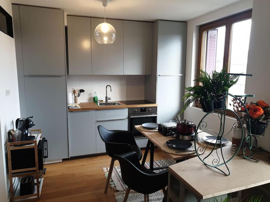 The Duplex Annecy Tgv; Vielle Ville Dış mekan fotoğraf